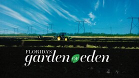 Florida's Garden of Eden