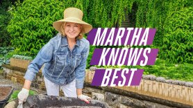 Martha Knows Best