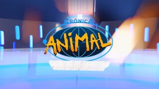 Crónica animal