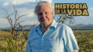 Historia de la vida