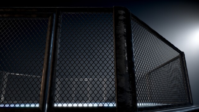 XFC 50: Johnson vs. Abbey