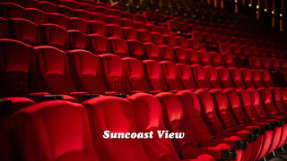 Suncoast View