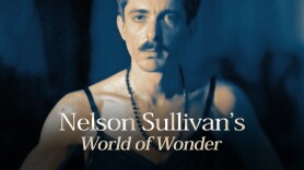 Nelson Sullivan's World of Wonder