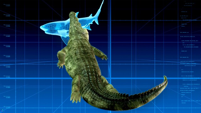 The Croc That Ate Jaws
