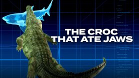 The Croc That Ate Jaws