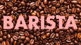 Barista