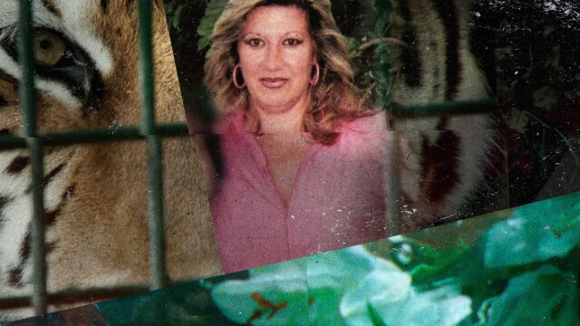 Lucía en la telaraña