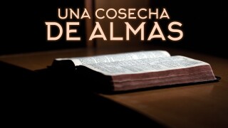 Una cosecha de almas