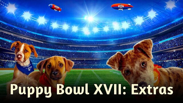 Puppy Bowl XVII: Extras