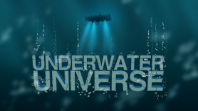 Underwater Universe