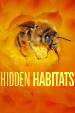 Hidden Habitats