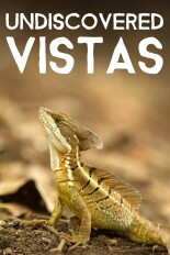 Undiscovered Vistas