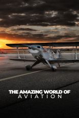 The Amazing World of Aviation