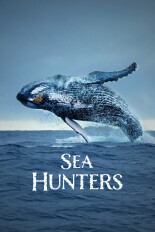 Sea Hunters