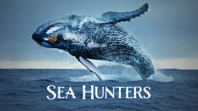 Sea Hunters