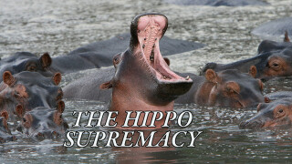 The Hippo Supremacy