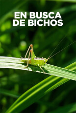 En busca de bichos