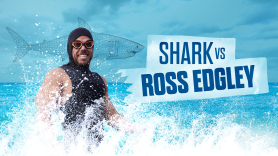 Shark vs. Ross Edgley