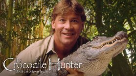 The Crocodile Hunter: Best of Steve Irwin