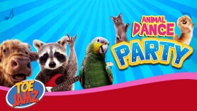 Animal Dance Party