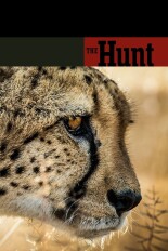 The Hunt