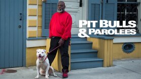 Pit Bulls and Parolees