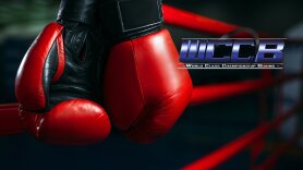 Fight Sports: Boxing