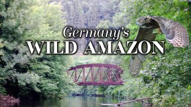Germany's Wild Amazon