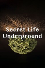 Secret Life Underground