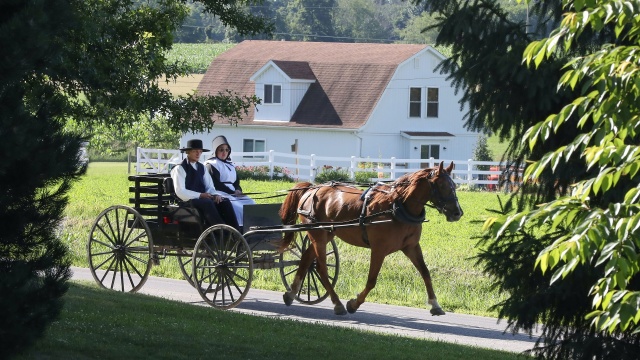 Amish Dilemma