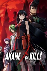 Akame Ga Kill
