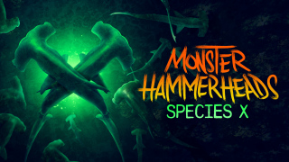 Monster Hammerheads: Species X