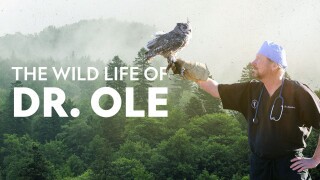 The Wild Life of Dr. Ole