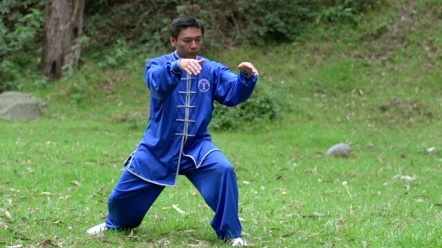 Vida Tai Chi