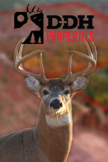 Deer & Deer Hunting Properties