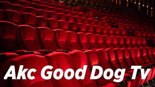 Akc Good Dog Tv