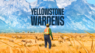 Yellowstone Wardens