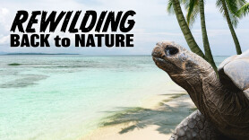 Rewilding: Back to Nature
