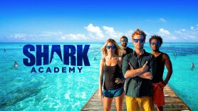 Shark Academy