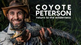 Coyote Peterson: Return to the Wilderness