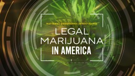 National Geographic Investigates - Legal Marijuana in America