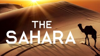 The Sahara
