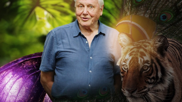 Life in Color With David Attenborough