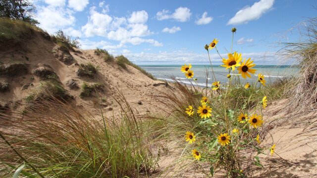 Shifting Sands: On the Path to Sustainability