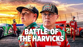 Battle of the Harvicks