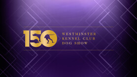 150th Westminster Kennel Club Dog Show