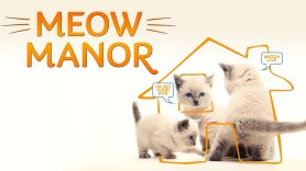 Meow Manor