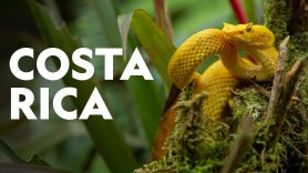 Costa Rica