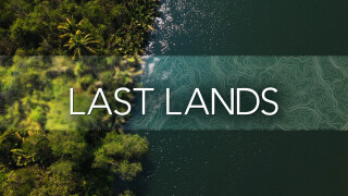 Last Lands: South Africa