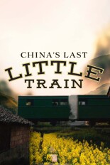 China's Last Little Train